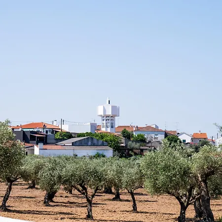 Casa Do Meio - Zebras, Castelo Branco Guest house